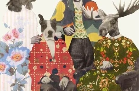 L’Incroyable bibliothèque Almayer / Philippe Debongnie - Cindya Izzarelli et… collectif d’auteurs.rices - À pas de Loup