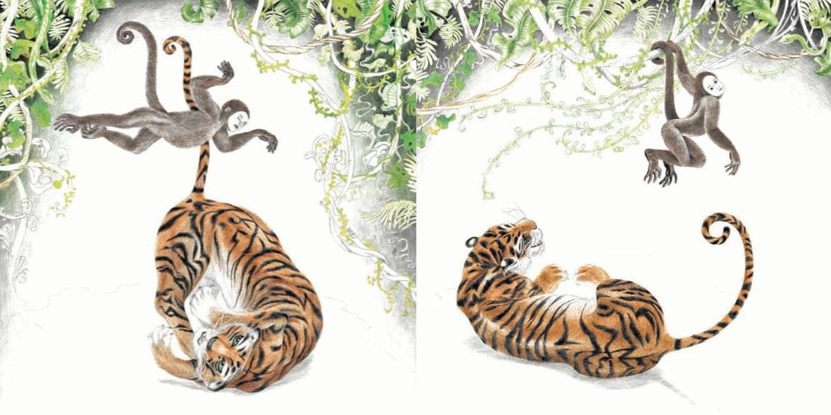 Le ventre du crocodile Marion Janin et Olivier Bardoul