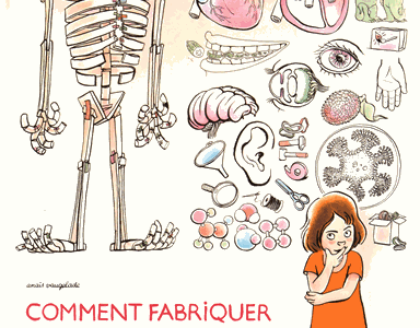 Comment fabriquer son grand frère : un livre d'anatomie et de bricolage - Anais Vaugelade