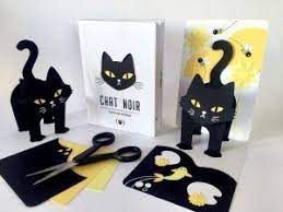 Chat noir et chat blanc : 2 livres pop-U2 de Mathilde Arnaud - Ed. Les grandes personnes 