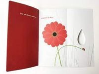 Grain de chagrin / Martine Perrin - Seuil Jeunesse 