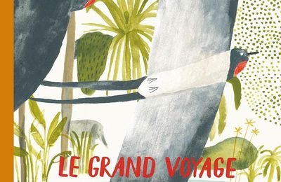 Le grand voyage d’une hirondelle : journal d’un oiseau migrateur / Pavel Kvartalnov,  Olga Ptashnik - Rue du Monde 