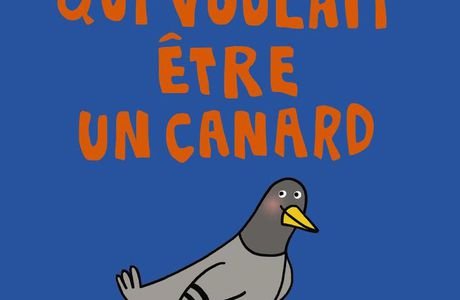 Le pigeon qui voulait être un canard - Lili bravi, ill. soledad bravi