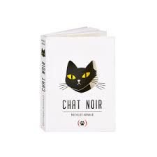 Chat noir et chat blanc : 2 livres pop-U2 de Mathilde Arnaud - Ed. Les grandes personnes 